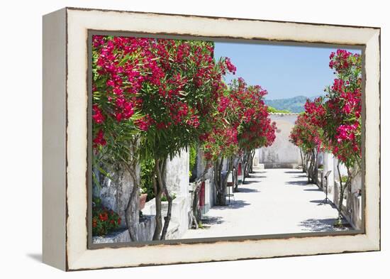 Garden Bloom, Villa Rufulo, Ravello, Italy-George Oze-Framed Premier Image Canvas