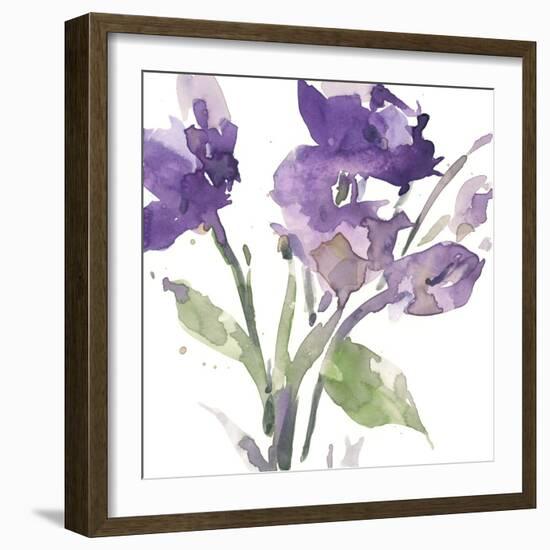 Garden Blooms I-Samuel Dixon-Framed Art Print