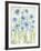 Garden Blooms II-Tania Bello-Framed Giclee Print