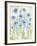 Garden Blooms II-Tania Bello-Framed Giclee Print