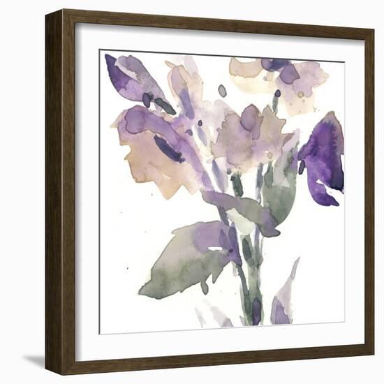 Garden Blooms II-Samuel Dixon-Framed Art Print