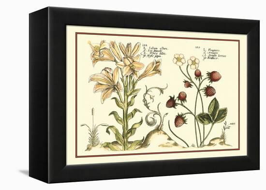 Garden Botanica I-Vision Studio-Framed Stretched Canvas