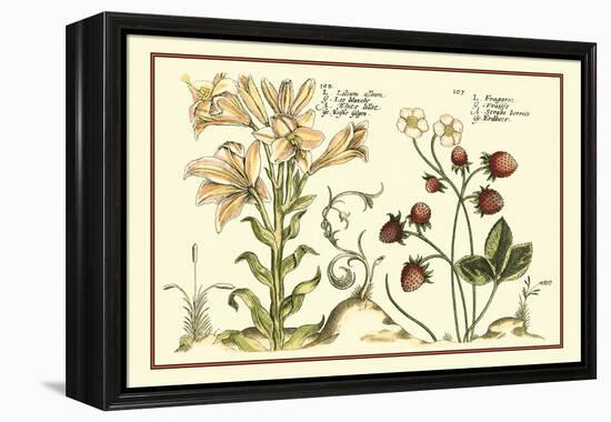 Garden Botanica I-Vision Studio-Framed Stretched Canvas