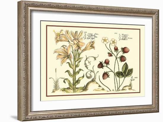 Garden Botanica I-Vision Studio-Framed Art Print