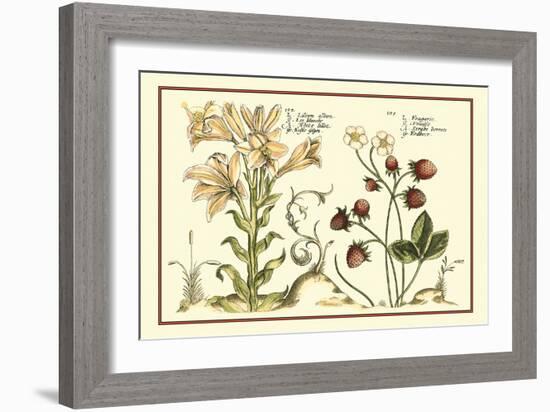 Garden Botanica I-Vision Studio-Framed Art Print