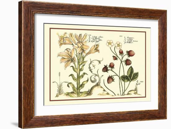 Garden Botanica I-Vision Studio-Framed Art Print