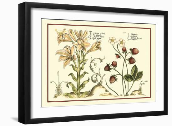 Garden Botanica I-Vision Studio-Framed Art Print