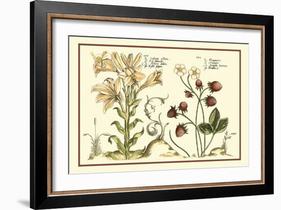 Garden Botanica I-Vision Studio-Framed Art Print
