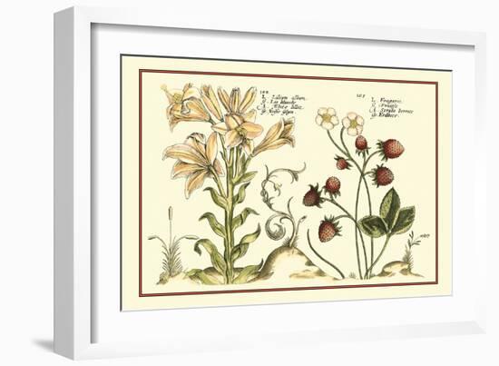 Garden Botanica I-Vision Studio-Framed Art Print