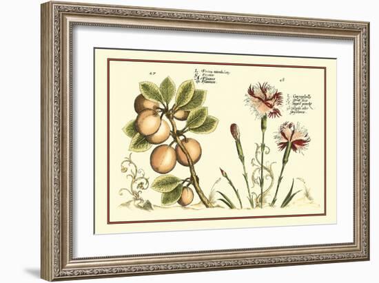 Garden Botanica II-Vision Studio-Framed Art Print