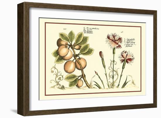 Garden Botanica II-Vision Studio-Framed Art Print