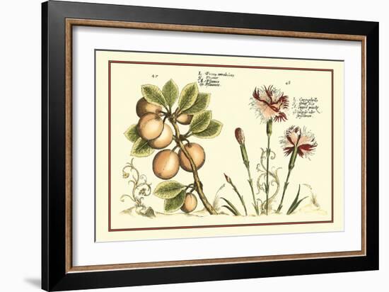 Garden Botanica II-Vision Studio-Framed Art Print