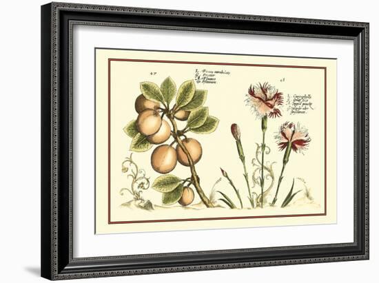 Garden Botanica II-Vision Studio-Framed Art Print