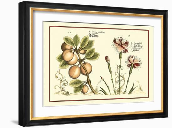 Garden Botanica II-Vision Studio-Framed Art Print