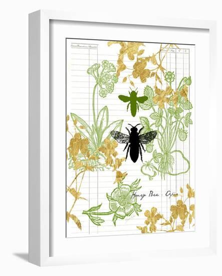 Garden Botanicals & Bees-Devon Ross-Framed Art Print