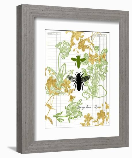 Garden Botanicals & Bees-Devon Ross-Framed Art Print