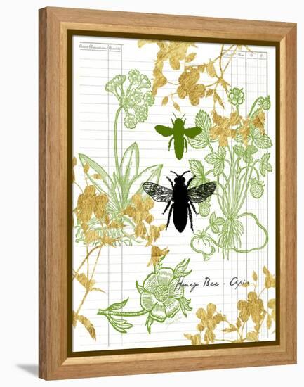 Garden Botanicals & Bees-Devon Ross-Framed Stretched Canvas