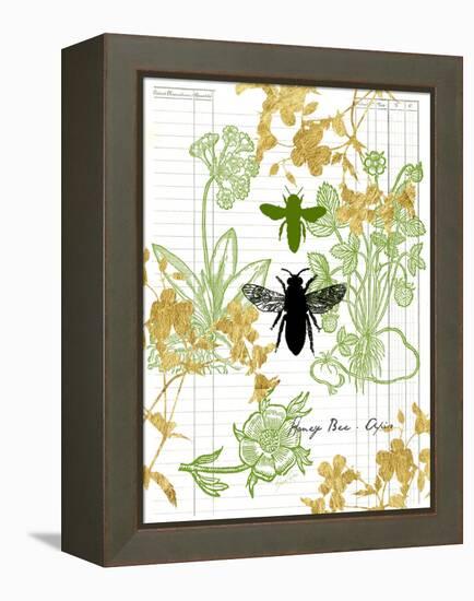 Garden Botanicals & Bees-Devon Ross-Framed Stretched Canvas