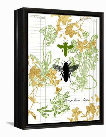 Garden Botanicals & Bees-Devon Ross-Framed Stretched Canvas