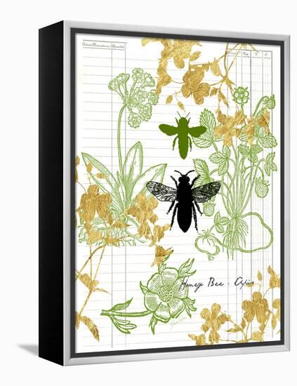 Garden Botanicals & Bees-Devon Ross-Framed Stretched Canvas