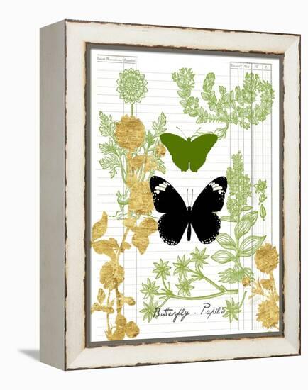 Garden Botanicals & Butterflies-Devon Ross-Framed Stretched Canvas