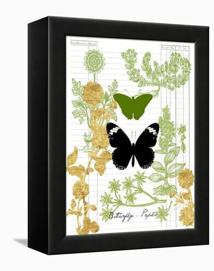 Garden Botanicals & Butterflies-Devon Ross-Framed Stretched Canvas