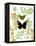 Garden Botanicals & Butterflies-Devon Ross-Framed Stretched Canvas