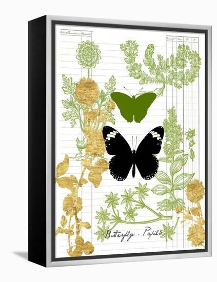 Garden Botanicals & Butterflies-Devon Ross-Framed Stretched Canvas