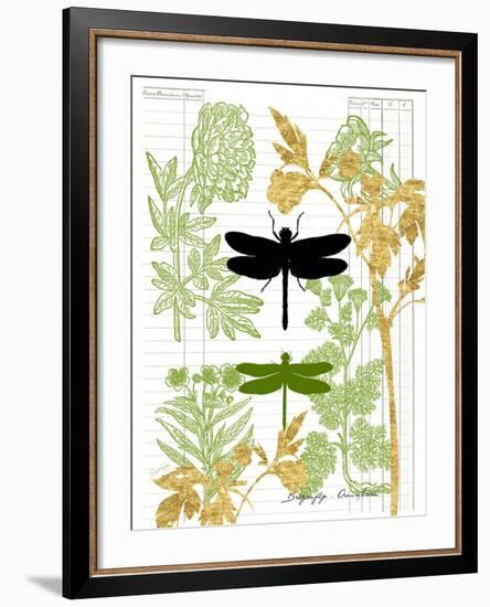 Garden Botanicals & Dragonflies-Devon Ross-Framed Art Print