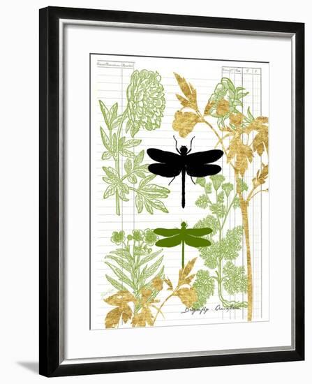 Garden Botanicals & Dragonflies-Devon Ross-Framed Art Print