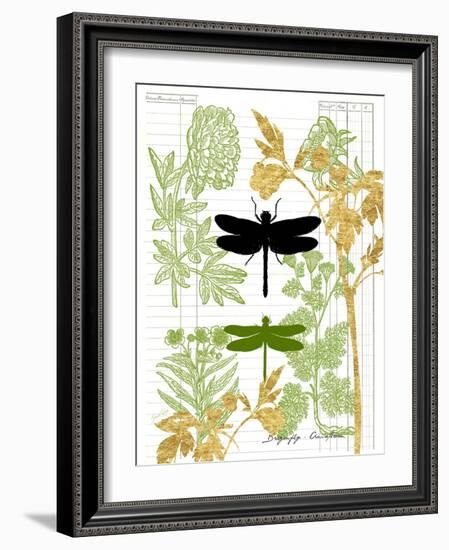 Garden Botanicals & Dragonflies-Devon Ross-Framed Art Print