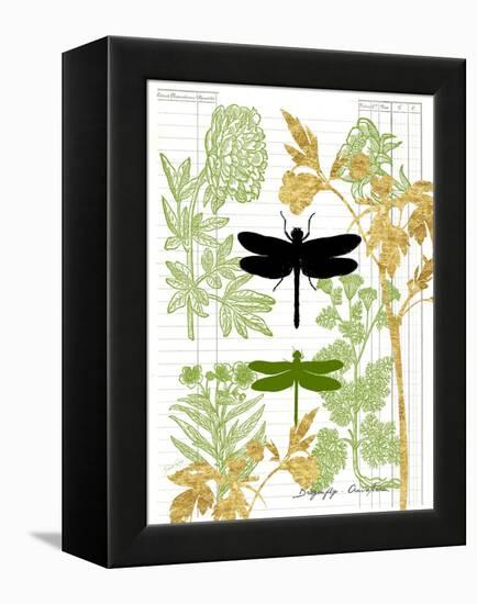 Garden Botanicals & Dragonflies-Devon Ross-Framed Stretched Canvas