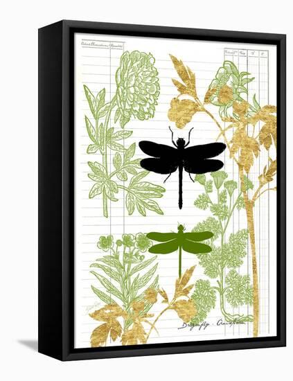 Garden Botanicals & Dragonflies-Devon Ross-Framed Stretched Canvas