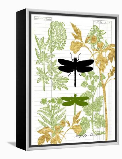 Garden Botanicals & Dragonflies-Devon Ross-Framed Stretched Canvas