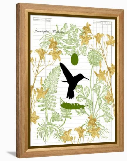 Garden Botanicals & Hummingbird-Devon Ross-Framed Stretched Canvas