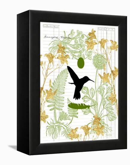 Garden Botanicals & Hummingbird-Devon Ross-Framed Stretched Canvas