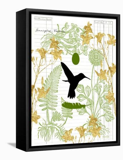 Garden Botanicals & Hummingbird-Devon Ross-Framed Stretched Canvas
