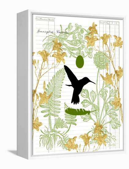 Garden Botanicals & Hummingbird-Devon Ross-Framed Stretched Canvas