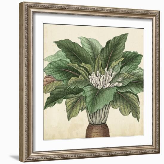 Garden Bounty V-Vision Studio-Framed Art Print