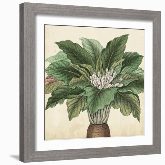 Garden Bounty V-Vision Studio-Framed Art Print