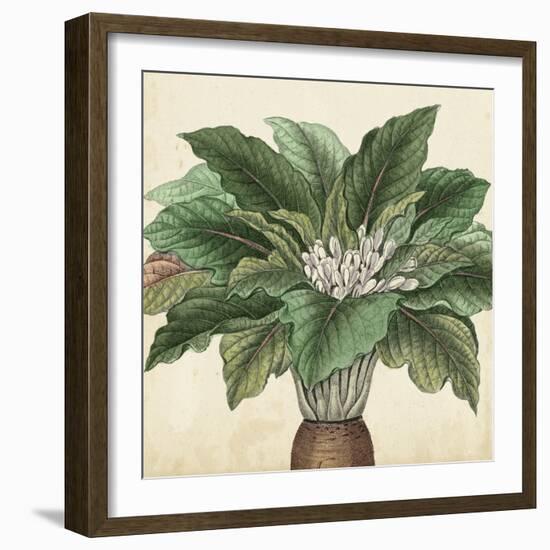 Garden Bounty V-Vision Studio-Framed Art Print