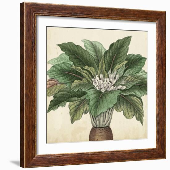 Garden Bounty V-Vision Studio-Framed Art Print