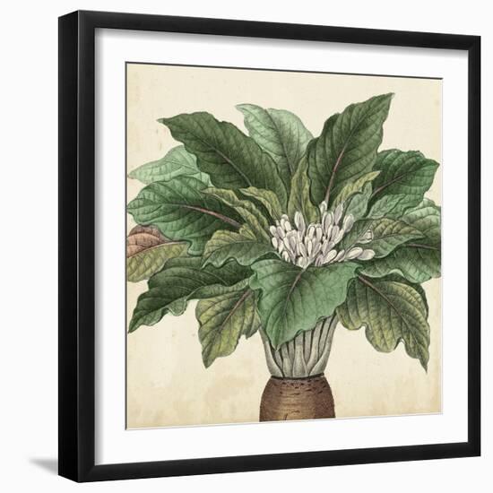 Garden Bounty V-Vision Studio-Framed Art Print