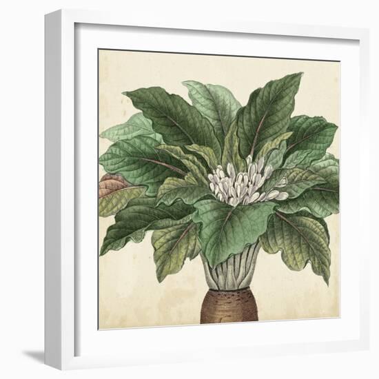 Garden Bounty V-Vision Studio-Framed Art Print