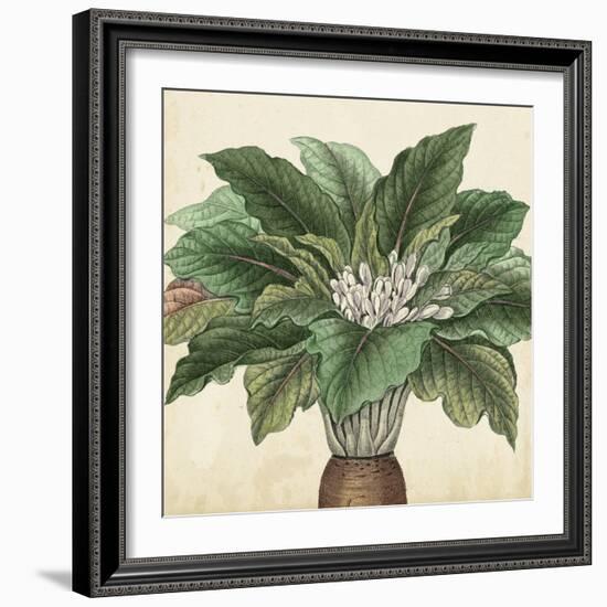 Garden Bounty V-Vision Studio-Framed Art Print