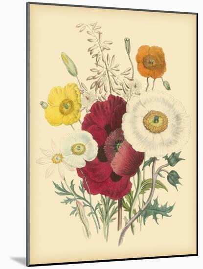 Garden Bouquet II-Jane W. Loudon-Mounted Art Print