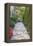 Garden Brick Paver Path with Arbor-jpldesigns-Framed Premier Image Canvas