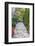 Garden Brick Paver Path with Arbor-jpldesigns-Framed Photographic Print