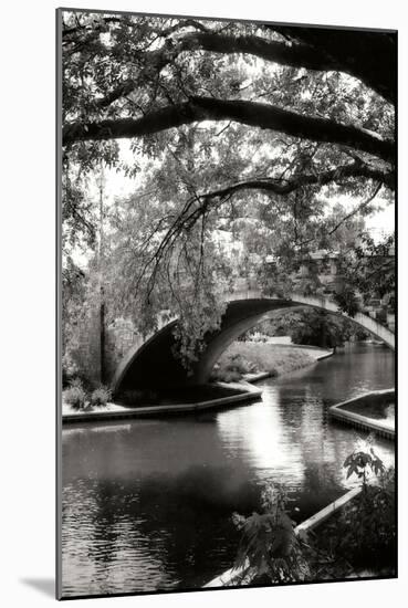 Garden Bridge II-Alan Hausenflock-Mounted Photographic Print