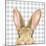 Garden Bunnies VII-Leslie Trimbach-Mounted Art Print